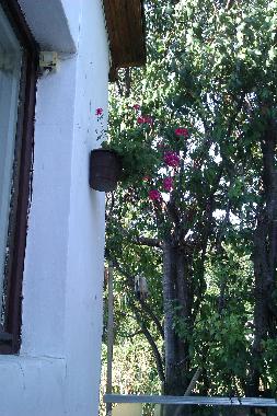 Ferienhaus in Balchik (Dobrich) oder Ferienwohnung oder Ferienhaus