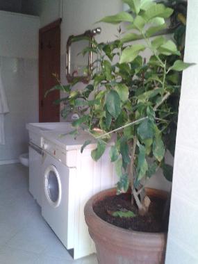 Ferienwohnung in Bucine (Arezzo) oder Ferienwohnung oder Ferienhaus