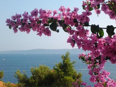Ferienwohnung in Okrug Gornji (Splitsko-Dalmatinska) oder Ferienwohnung oder Ferienhaus