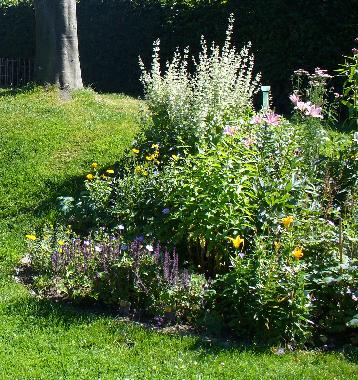 Ferienwohnung in Holtsee (Ostsee-Festland) oder Ferienwohnung oder Ferienhaus