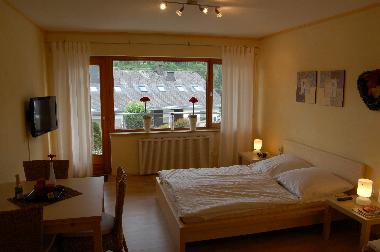 Ferienwohnung in Willingen (Waldecker Land) oder Ferienwohnung oder Ferienhaus