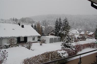 Ferienwohnung in Willingen (Waldecker Land) oder Ferienwohnung oder Ferienhaus