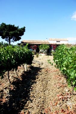Ferienwohnung in Menfi (Agrigento) oder Ferienwohnung oder Ferienhaus