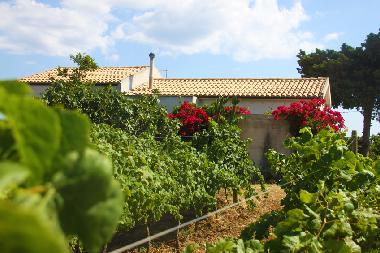 Ferienwohnung in Menfi (Agrigento) oder Ferienwohnung oder Ferienhaus