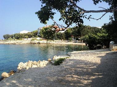 Ferienwohnung in Pag , Mandre (Zadarska) oder Ferienwohnung oder Ferienhaus