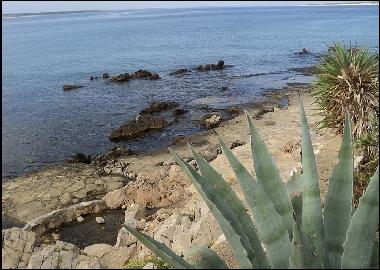 Ferienwohnung in Pag , Mandre (Zadarska) oder Ferienwohnung oder Ferienhaus