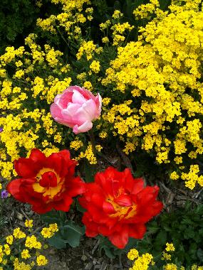 direkt vor der Wohnung 