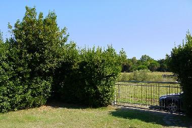 von Hecken und Eisentor eingez�unter Garten