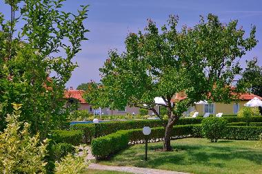 Ferienhaus in Bryastovets (Burgas) oder Ferienwohnung oder Ferienhaus