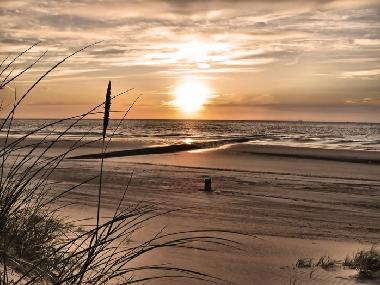 Chalet in Bredene (Flandern) oder Ferienwohnung oder Ferienhaus
