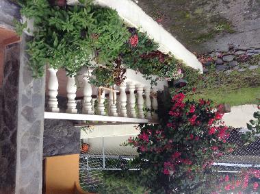 Chalet in Volcan (Chiriqui) oder Ferienwohnung oder Ferienhaus