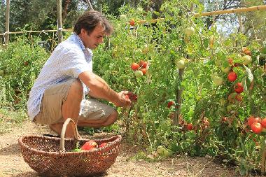 Ferienhaus in Quelfes (Algarve) oder Ferienwohnung oder Ferienhaus