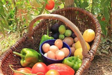 Ferienhaus in Quelfes (Algarve) oder Ferienwohnung oder Ferienhaus
