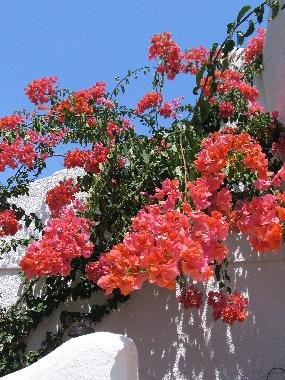 Villa in Calafat (Tarragona) oder Ferienwohnung oder Ferienhaus