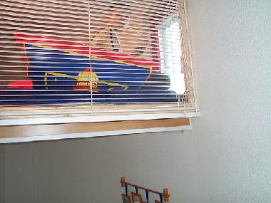 Von der Schlafkoje kann man ins Treppenhaus und in den Garten sehen. Das Highlight f�r Kinder.