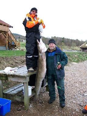 Ferienhaus in Eidsv�g i Romsdal (More og Romsdal) oder Ferienwohnung oder Ferienhaus