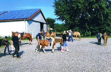 Ferienwohnung in Dagebll (Nordsee-Festland) oder Ferienwohnung oder Ferienhaus