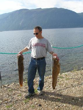 Ferienwohnung in Eidsv�g i Romsdal (More og Romsdal) oder Ferienwohnung oder Ferienhaus