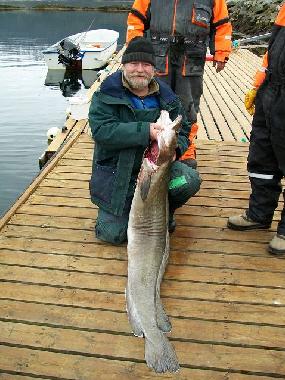 Ferienwohnung in Eidsv�g i Romsdal (More og Romsdal) oder Ferienwohnung oder Ferienhaus