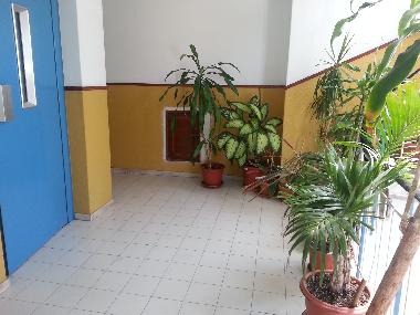 Ferienwohnung in Faro (Algarve) oder Ferienwohnung oder Ferienhaus