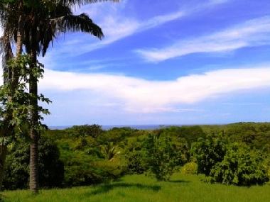 Der Blick in den Garten mit Meerblick