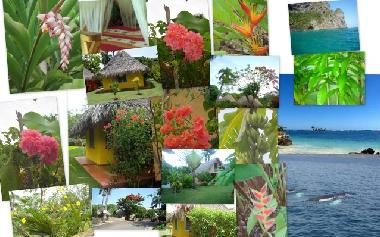 Ferienhaus in las galeras (Samana) oder Ferienwohnung oder Ferienhaus