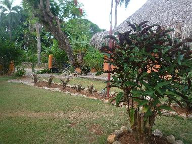 Ferienhaus in las galeras (Samana) oder Ferienwohnung oder Ferienhaus