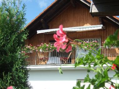 Ferienwohnung in Geiselbach (Unterfranken) oder Ferienwohnung oder Ferienhaus