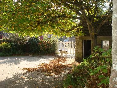 Ferienhaus in GREVILLE HAGUE (Manche) oder Ferienwohnung oder Ferienhaus