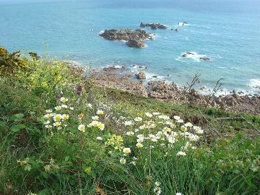 Ferienhaus in GREVILLE HAGUE (Manche) oder Ferienwohnung oder Ferienhaus