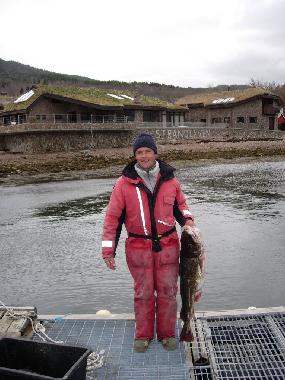 Ferienwohnung in Eidsv�g i Romsdal (More og Romsdal) oder Ferienwohnung oder Ferienhaus