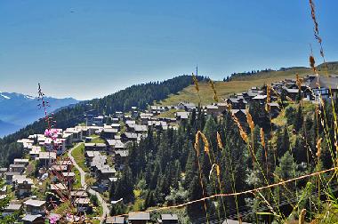 Ferienwohnung in Bettmeralp (Bettmeralp) oder Ferienwohnung oder Ferienhaus