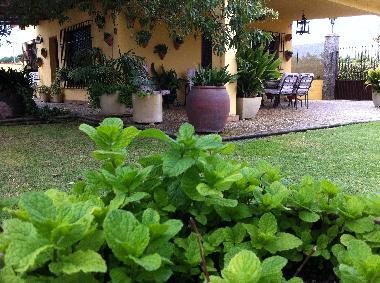 Chalet in CHIPIONA (Cdiz) (Cdiz) oder Ferienwohnung oder Ferienhaus