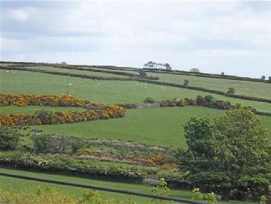 Ferienwohnung in Ramsey (North West) oder Ferienwohnung oder Ferienhaus