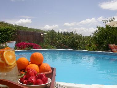 Ferienhaus in Villanueva de la Concepcion (M�laga) oder Ferienwohnung oder Ferienhaus