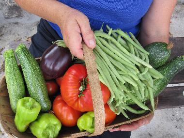 Ferienwohnung in A Teixeira (Ourense) oder Ferienwohnung oder Ferienhaus