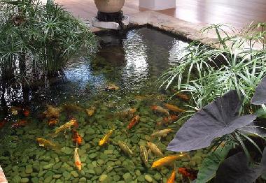 Villa in Saint James (Saint James) oder Ferienwohnung oder Ferienhaus