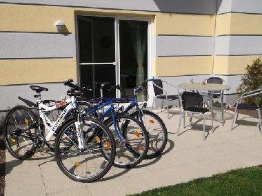 Ferienwohnung in Graal-Mritz (Mecklenburgische Ostseekste) oder Ferienwohnung oder Ferienhaus