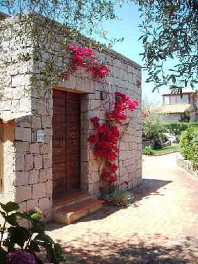 Ferienhaus in Baja Sardinia (Olbia-Tempio) oder Ferienwohnung oder Ferienhaus
