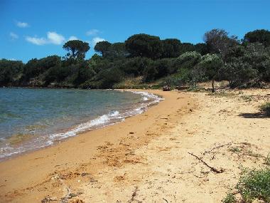 Ferienhaus in Baja Sardinia (Olbia-Tempio) oder Ferienwohnung oder Ferienhaus