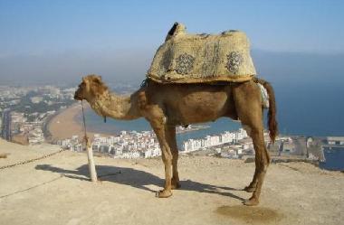 Ferienwohnung in agadir (Agadir) oder Ferienwohnung oder Ferienhaus