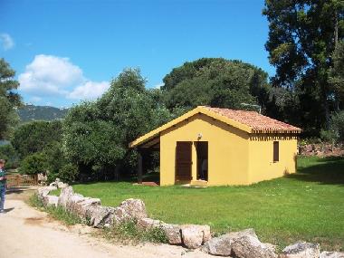 Ferienh�uschen von der Ostseite und Rasen, links Zugang zum Meer