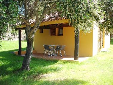 kleine �berdachte Veranda am wilden Olivenbaum Westseite in Richtung Meer