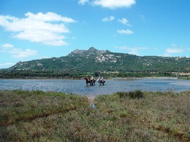 Strandausritte des nahegelegenen Gest�tes am �ffentlichen Strand