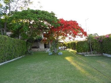 Villa in Marina (Al Iskandariyah) oder Ferienwohnung oder Ferienhaus