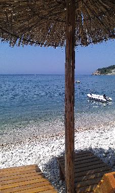 Villa in Bar-Utjeha-Kruce (Montenegro) oder Ferienwohnung oder Ferienhaus