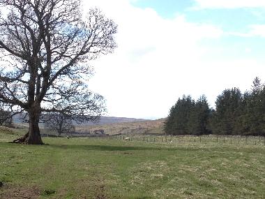 Ferienhaus in Rookhope (Tees Valley and Durham) oder Ferienwohnung oder Ferienhaus