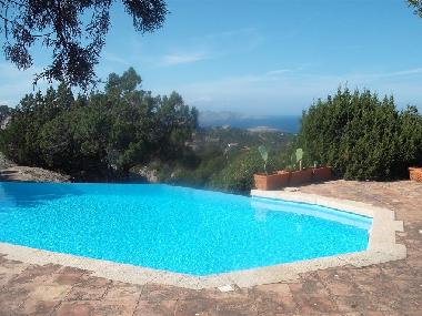 Pool in der Macchia und dahinter das Meer