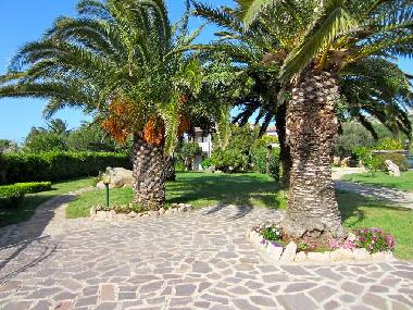 Palmen und Parkplatz vor dem Haus