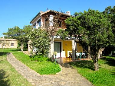 Seitenansicht mit gepflastertem Zugang